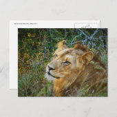 Pokale Postkarte (Vorne/Hinten)