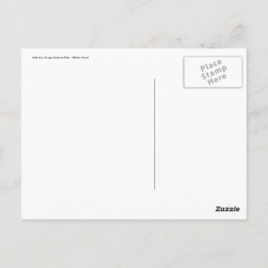 Pokale Postkarte (Rückseite)