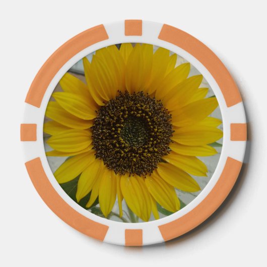 Poker Chip Sonnenblume (Vorderseite)
