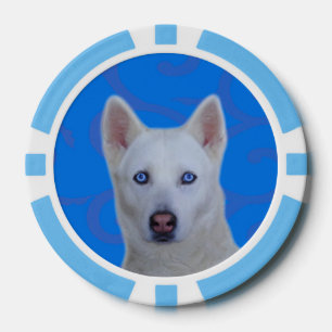 Poker-Chips aus weißem sibirischem Husky-Clay, Bla Pokerchips