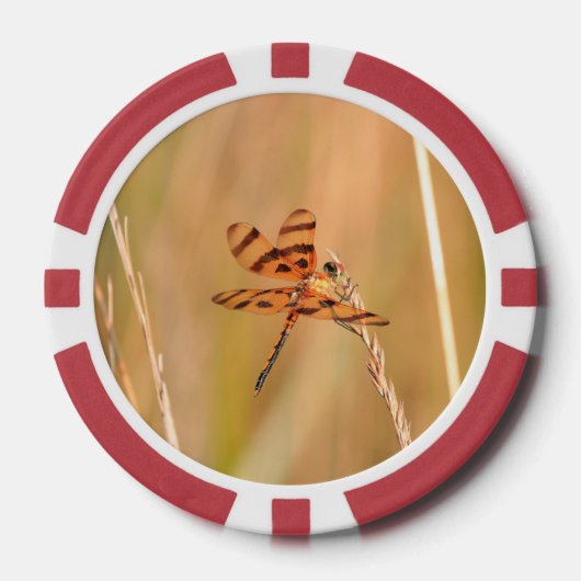 Poker-Chips mit Libelle und Kolibri Pokerchips (Vorderseite)