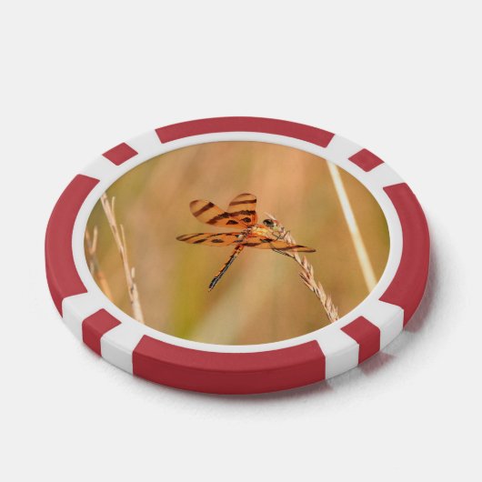 Poker-Chips mit Libelle und Kolibri Pokerchips (Einzeln)