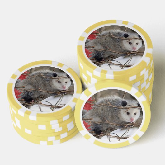 Poker Chips Opossum Natur (Stapel)