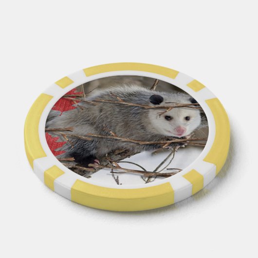 Poker Chips Opossum Natur (Einzeln)