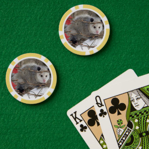 Poker Chips Opossum Natur