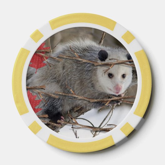 Poker Chips Opossum Natur (Rückseite)