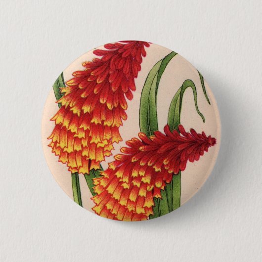 Poker-Messingfia-Blume Button (Vorderseite)