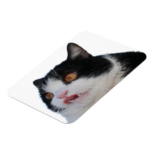 Pokey Magnet (Linke Seite)