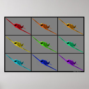 Pokryshkin-Albtraum Poster