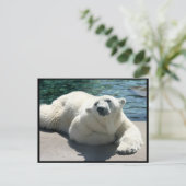 Polar-Bär-Postkarte Postkarte (Stehend Vorderseite)