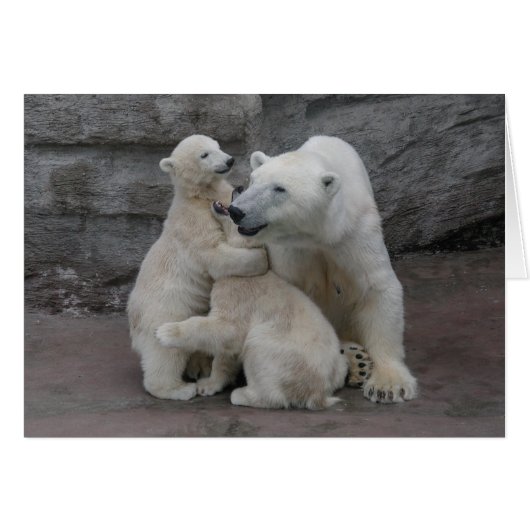 Polar Bären Cubs und Mutter (Vorderseite (Horizontal))
