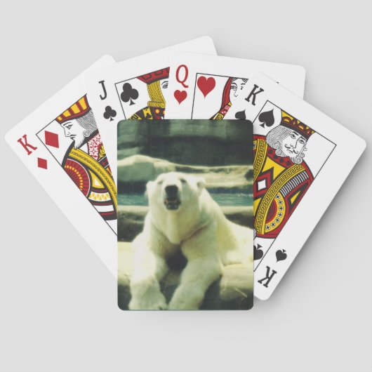 Polar Bären Spielkarten (Rückseite)