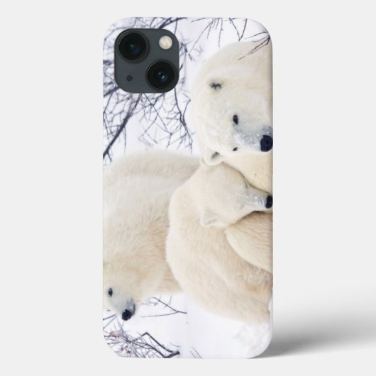 Polar Bären weiblich und zwei Bären 3 Case-Mate iPhone Hülle (Rückseite)