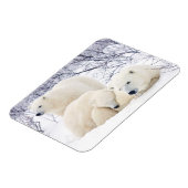 Polar Bären weiblich und zwei Bären 3 Magnet (Linke Seite)