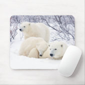Polar Bären weiblich und zwei Bären 3 Mousepad (Mit Mouse)