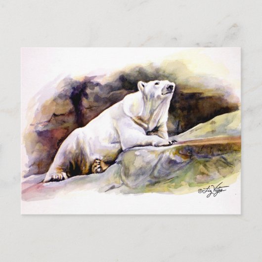 Polar-Bärenhintergrund Postkarte (Vorderseite)