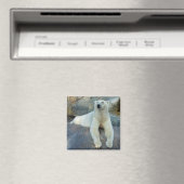 Polar-Bärenmagnet Magnet (In Situ (Geschirrspüler))