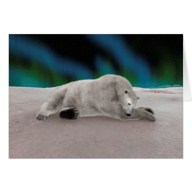 Polar Bear (Vorderseite (Horizontal))