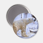 Polar Bear グネ Magnet (Vorderseite/Rückseite)