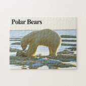 Polar Bear 10 Jigsaw Puzzle (Horizontal)