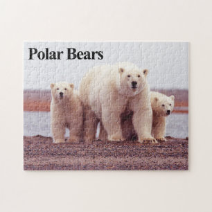 Polar Bear 12 Jigsaw Puzzle
