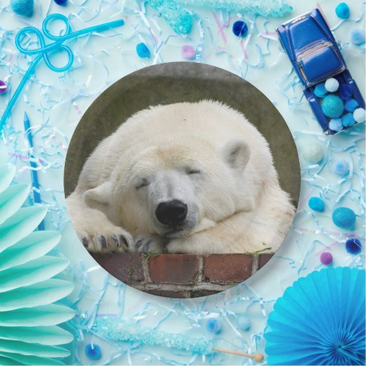 Polar_Bear_2015_0301 Pappteller (Party)