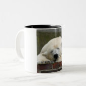 Polar_Bear_2015_0301 Zweifarbige Tasse (Vorderseite Links)