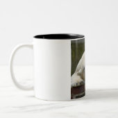 Polar_Bear_2015_0301 Zweifarbige Tasse (Links)