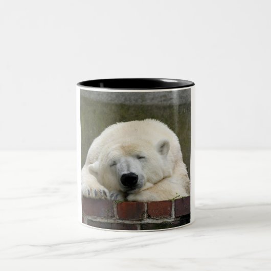 Polar_Bear_2015_0301 Zweifarbige Tasse (Mittel)