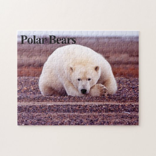 Polar Bear 7 Jigsaw Puzzle (Horizontal)