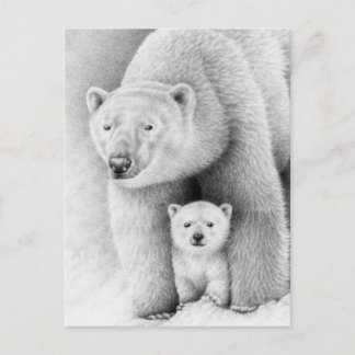 Polar Bear and Cube Postcard Postkarte
