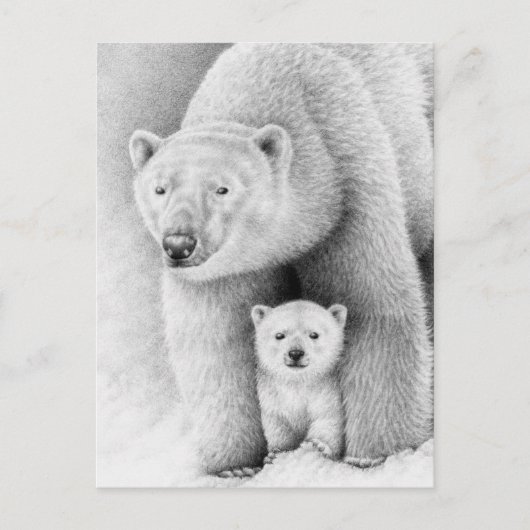 Polar Bear and Cube Postcard Postkarte (Vorderseite)