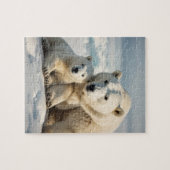 Polar Bear and Cube Puzzle (Horizontal)