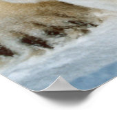 Polar Bear and Cube Wildlife Lovers Poster (Ecke)