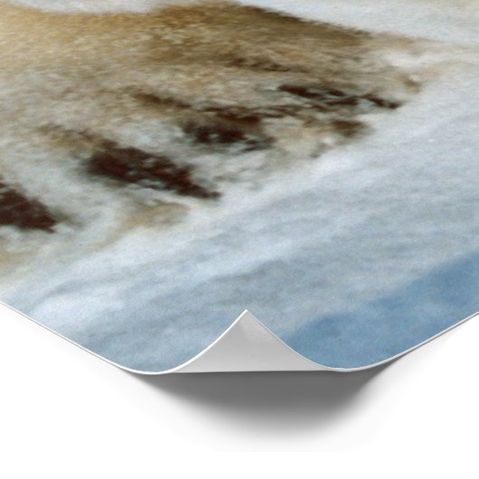 Polar Bear and Cube Wildlife Lovers Poster (Ecke)