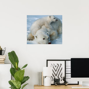 Polar Bear and Cube Wildlife Lovers Poster
