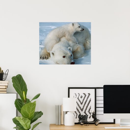 Polar Bear and Cube Wildlife Lovers Poster (Heimbüro)