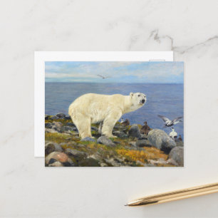 Polar Bear and Eider Encks on Coast by Friese Postkarte