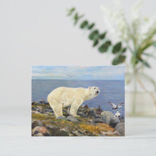 Polar Bear and Eider Encks on Coast by Friese Postkarte (Stehend Vorderseite)