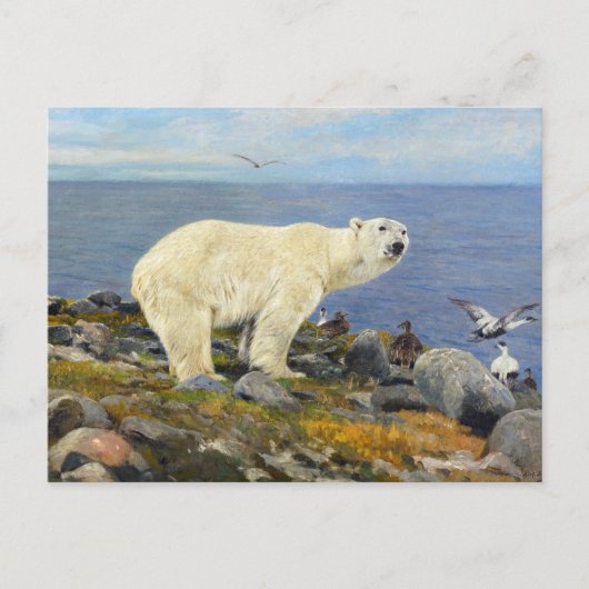 Polar Bear and Eider Encks on Coast by Friese Postkarte (Vorderseite)