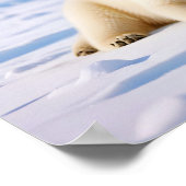 Polar Bear Animal Nature Wildlife Zuneigung Gekümm Poster (Ecke)