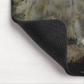 Polar Bear Arctic Animal Bear Lover Mousepad (Ecke)