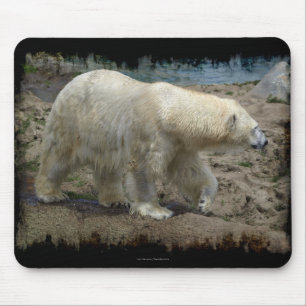 Polar Bear Arctic Animal Bear Lover Mousepad