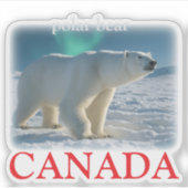 POLAR BEAR AUFKLEBER (Vorderseite)