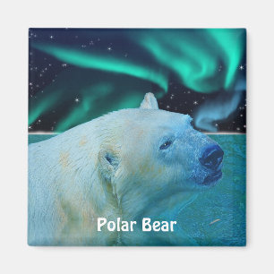 Polar Bear & Aurora Arktis Kunst, Dichtung und Mus Magnet