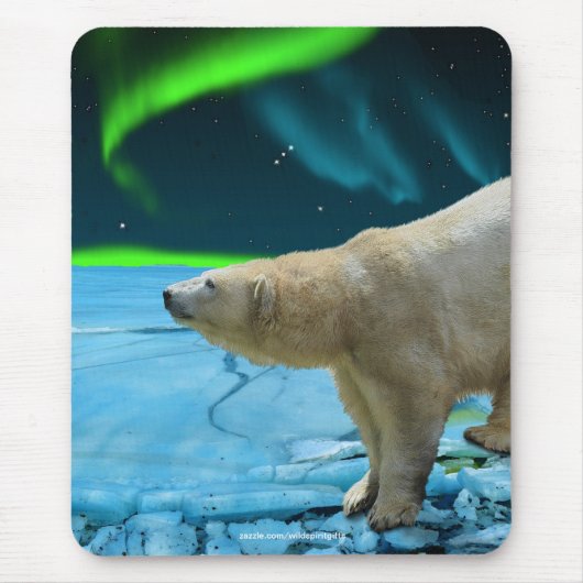 Polar Bear & Aurora Wildlife Supporter Geschenk Mousepad (Vorne)