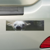Polar Bear Autoaufkleber (Auf Auto)
