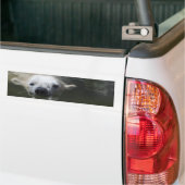Polar Bear Autoaufkleber (Auf Lkw)