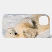 Polar Bear bei Hudson Bay Case-Mate iPhone Hülle (Rückseite (Horizontal))