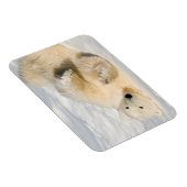 Polar Bear bei Hudson Bay Magnet (Rechte Seite)